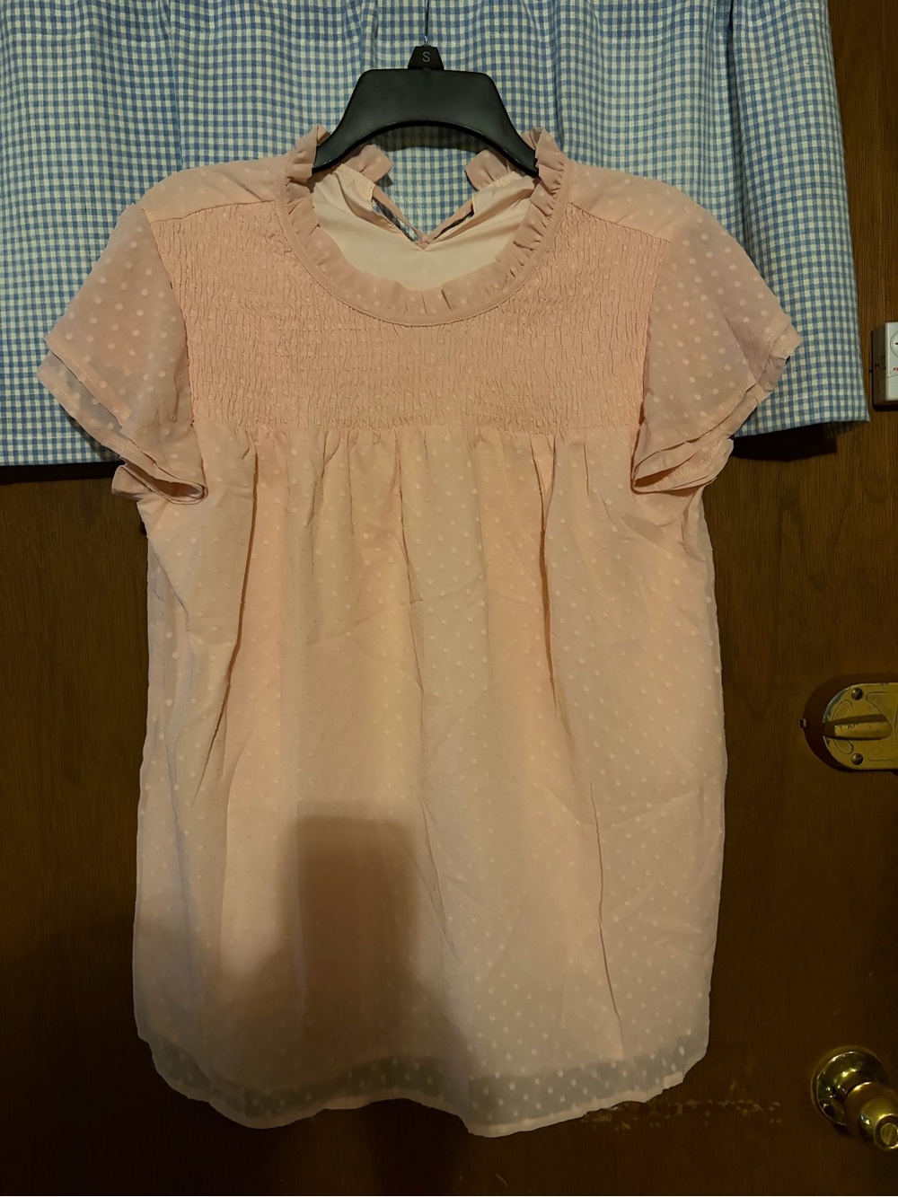 Light Pink/Blush Swiss Dot Ruffle Neck Blouse